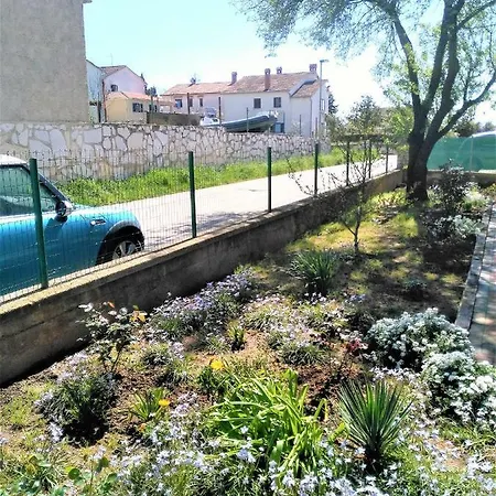 Din-pula Apartman Pula
