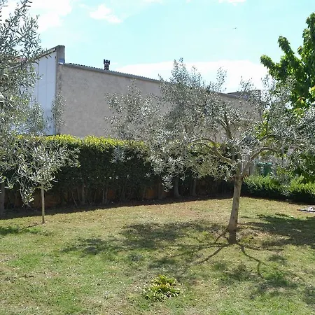 Din-pula Apartamento *