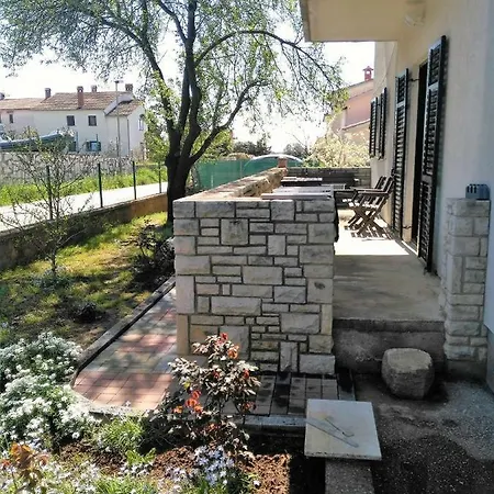 Din-pula Apartament